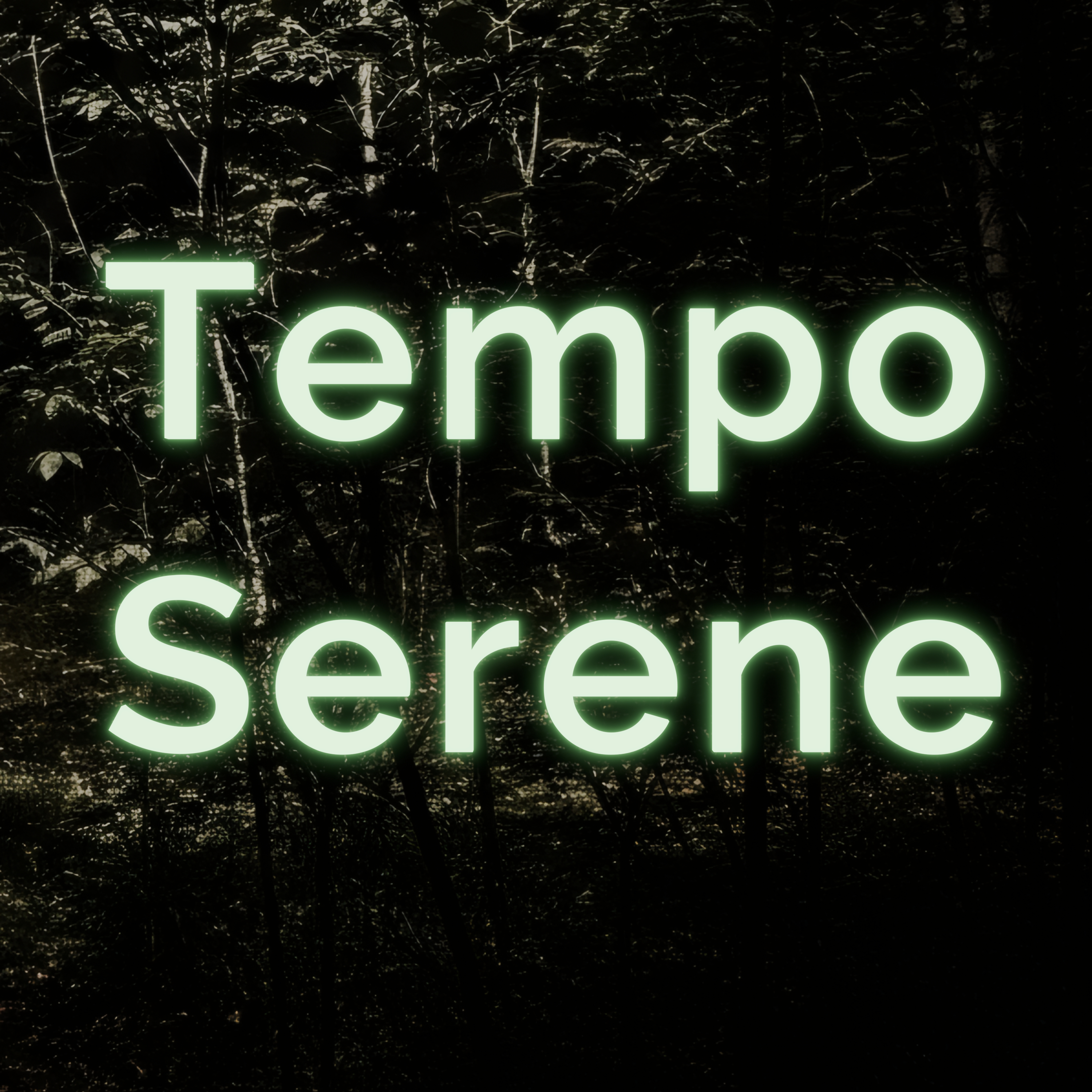 Tempo Serene